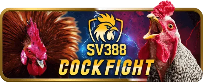 Ưu đãi chào mừng TD88