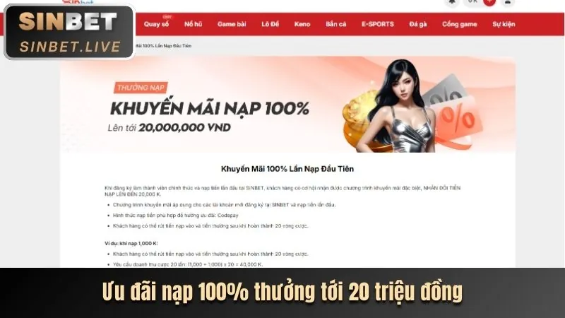 Hoàn trả cược cao cấp